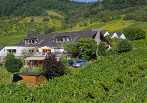 Weingut & Gästehaus Heidhof in Burg an der Mosel, Deutschland