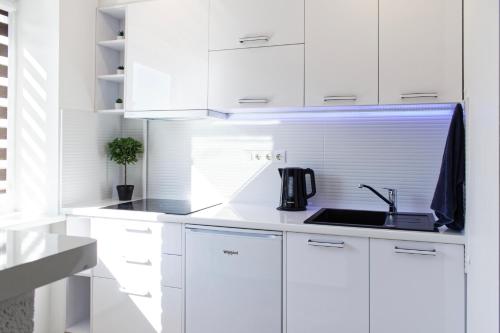 设施服务, Studio apartment in 瓦尔米耶