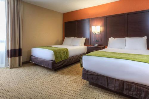 Comfort Inn & Suites Evansville Airport - image 6