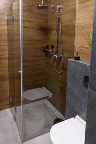 Rio - Apartament Plaza Tower - Targi Kielce - Faktura VAT- INVOICE - Air Condition, Kielce (zdjęcie 10)