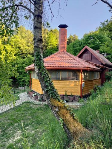 Viesnīcas āriene, Pietrusze Wzgórze (Pietrusze Wzgorze) in Moderowka