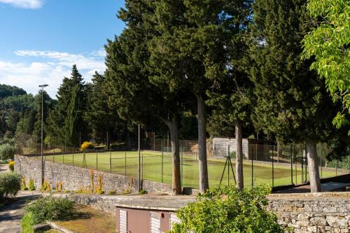 Podere Castellare - image 7