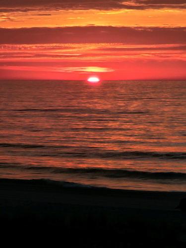 Boardwalk Sand & Surf Beach Hotel Oceanfront - image 2