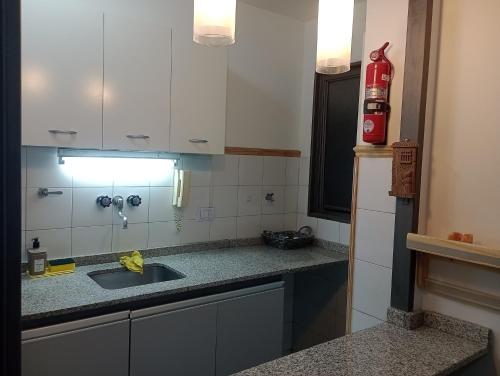 One-Bedroom Apartment image 10