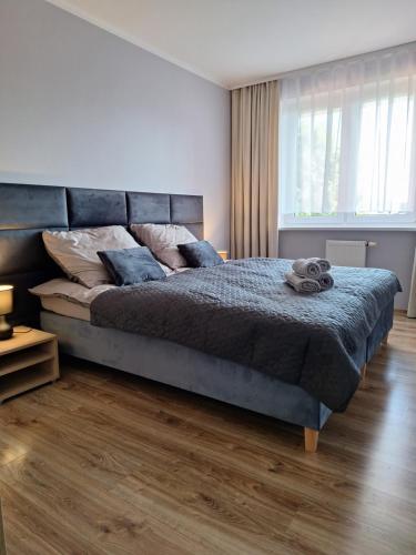 Apartament na Polnej