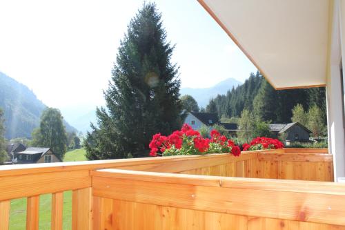 Familien & Wander-Pension Purkhardt – Donnersbachwald, NV