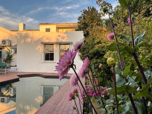 สวน, Penelope's Stellenbosch in พาราดิสคลอฟ