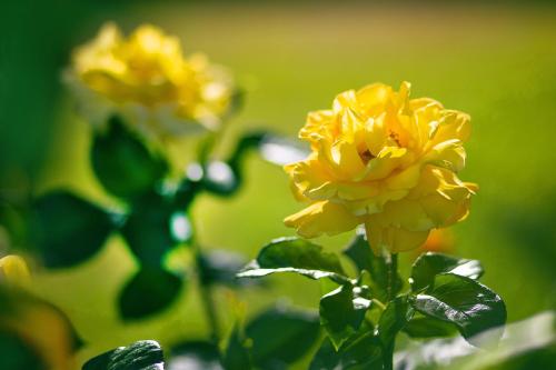 Hotel Giorgio - image 4