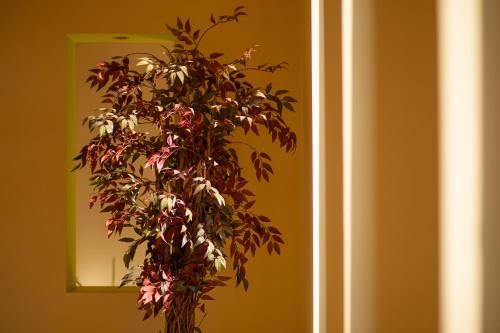 Hotel Giorgio - image 13