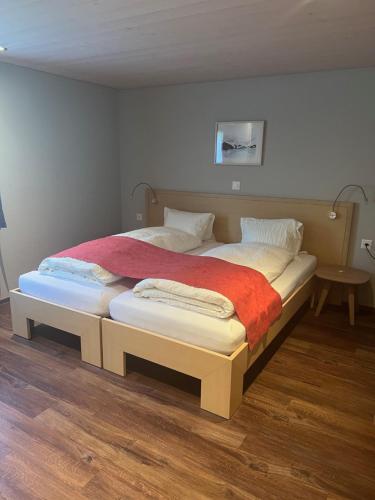Hotel Grimsel - image 8