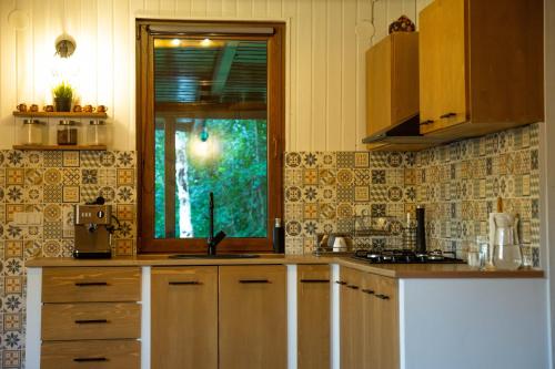 virtuve, Evyssa Lodge- Cabana in muntii Calimani, Mures in Coșna