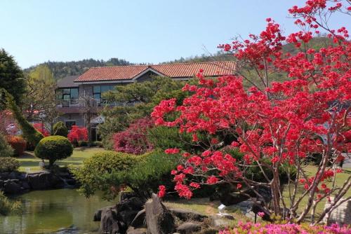 Boseong Wangsile pension in Boseong-gun