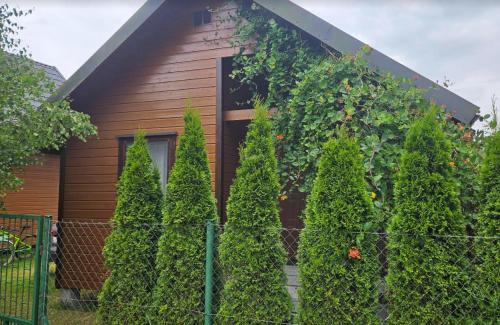 Domek KLIMATYZOWANY parterowy - Domki u Staszka