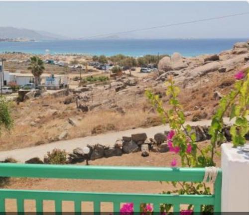 Panoramic View 2