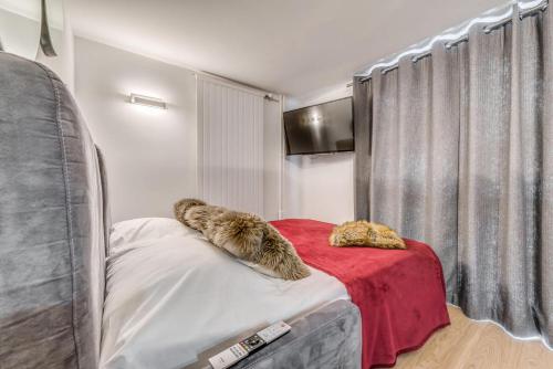 Résidence Palafour - Studio pour 4 Personnes 193629 - image 5