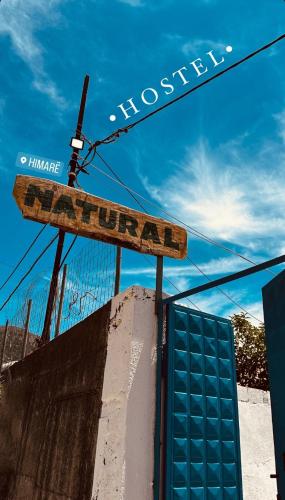 Single Bed in Mixed Dormitory Room room in Natural Hostel