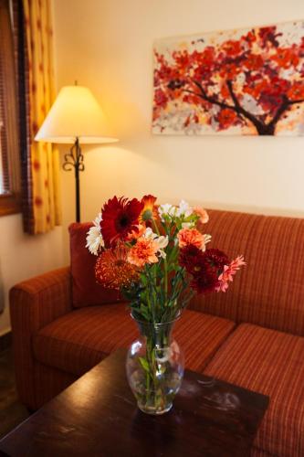 Los Arboles Hotel in Palm Springs, USA