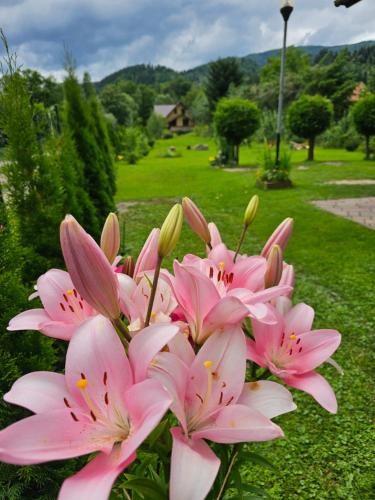 Dom wypoczynkowy Beskidy Dom wypoczynkowy Beskidy