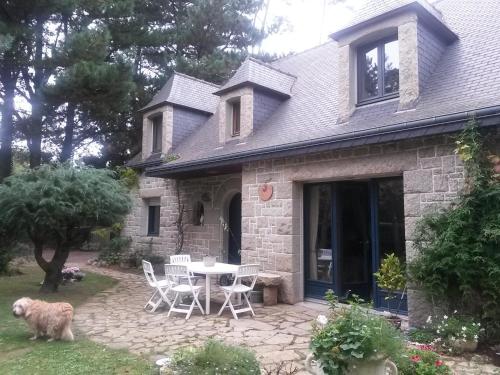Chambres d'Hôtes Les Mimosas - image 12