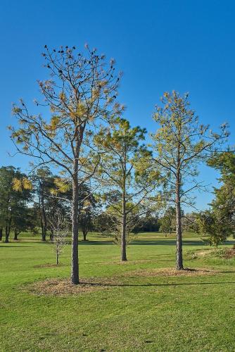 La Cantera Eco Hotel & Golf photo 3