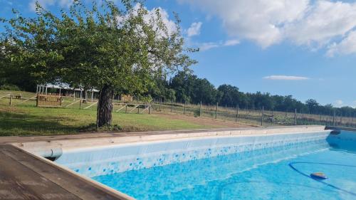 สระว่ายน้ำ, Agriturismo IL Paradiso di Berignone in วอลแตร์รา