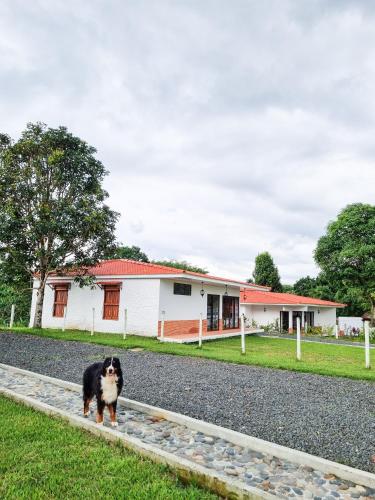 Tumbaga Hostal