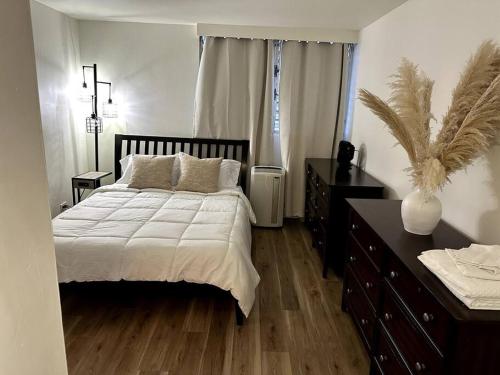 Cozy Centrally-located Condo in Honolulu - 30 day minimum stay in Honolulu Airport
