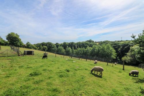 The Reading Room The Reading Room
