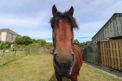 The Reading Room The Reading Room