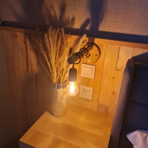 Luxury Green Hostal Madrid - image 8