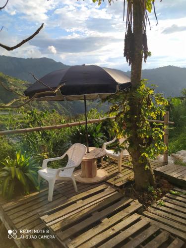 pequeña casa en finca cafetera, Medellín (Foto 3)
