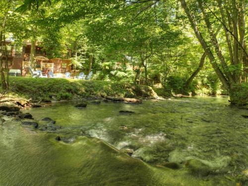 Cozy Creekside Cabin, Ellijay
