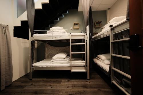 Smalleye Backpacker in Changhua