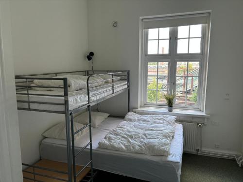 Danhostel Odense City - image 7
