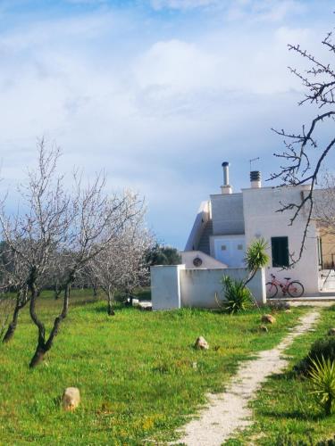 Villa Primavera – Ostuni, AR