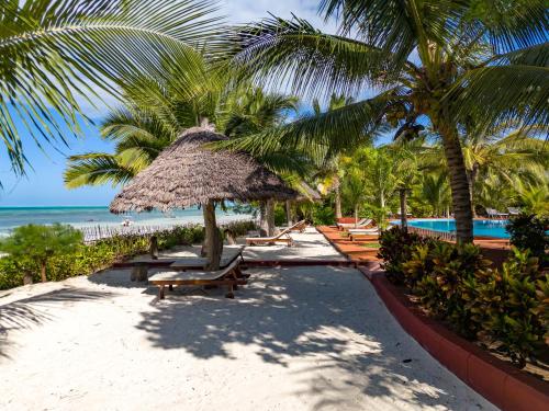 Ifa Beach Resort Room Type - Double Room with Balcony and Sea View