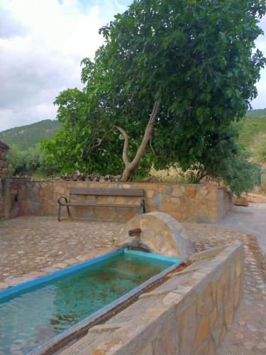 A környék, Casa Rural Mi Rincón Exquisito (Casa Rural Mi Rincon Exquisito) in Orcera