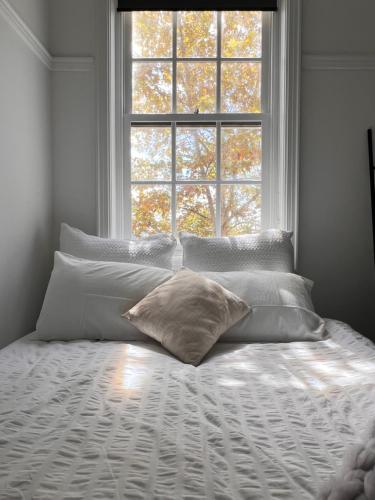 Apartment in Darlinghurst - image 8