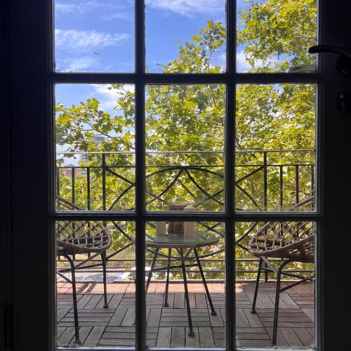 Apartment in Darlinghurst - image 7