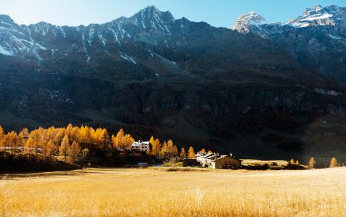 Les Neiges D'Antan