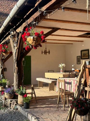 Saschiz 175 GuestHouse in Saschiz