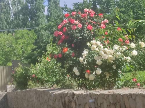 Hotel TEM in 霍羅格