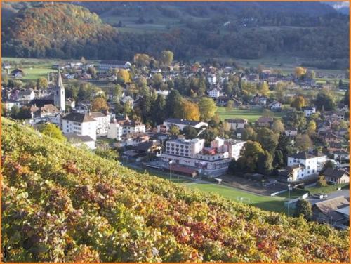Hotel Le Cedre - image 14