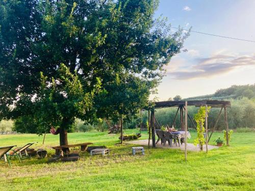 La Casa Nell'Aia - Accommodation - Monsummano