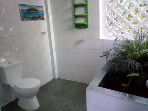 Hotelito La Aventura, AC private WC rooms near the old town, no tax in Torices