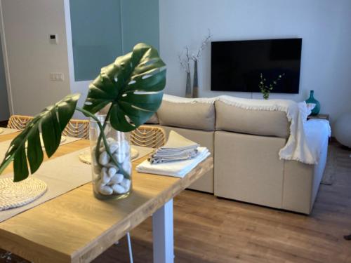Apartamento céntrico, climatizado y totalmente equipado de 3 habitaciones para 6-7 personas (Apartamento centrico, climatizado y totalmente equipado de 3 habitaciones para 6-7 personas) in Santa Coloma de Farners