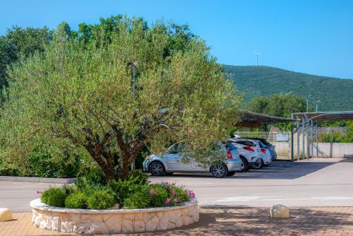 Guest Accommodation Atrium Gulin - image 10