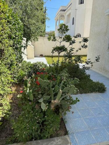 Villa in Korba 100m to the beach in Korba