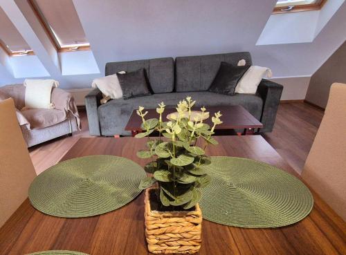 B&B Penzión Magura obrázok