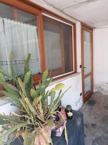  Comfortable apartment in San Mauro Pascoli 90 m² with private garden in San Mauro Pascoli